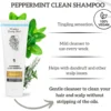 Peppermint Clean Shampoo & Leave In Conditioner