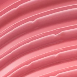 Peptide Bliss Glossy Lip Balm 010 Life In Rosé