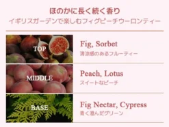 Perfume Body Wash Fig Peach Oolong Tea
