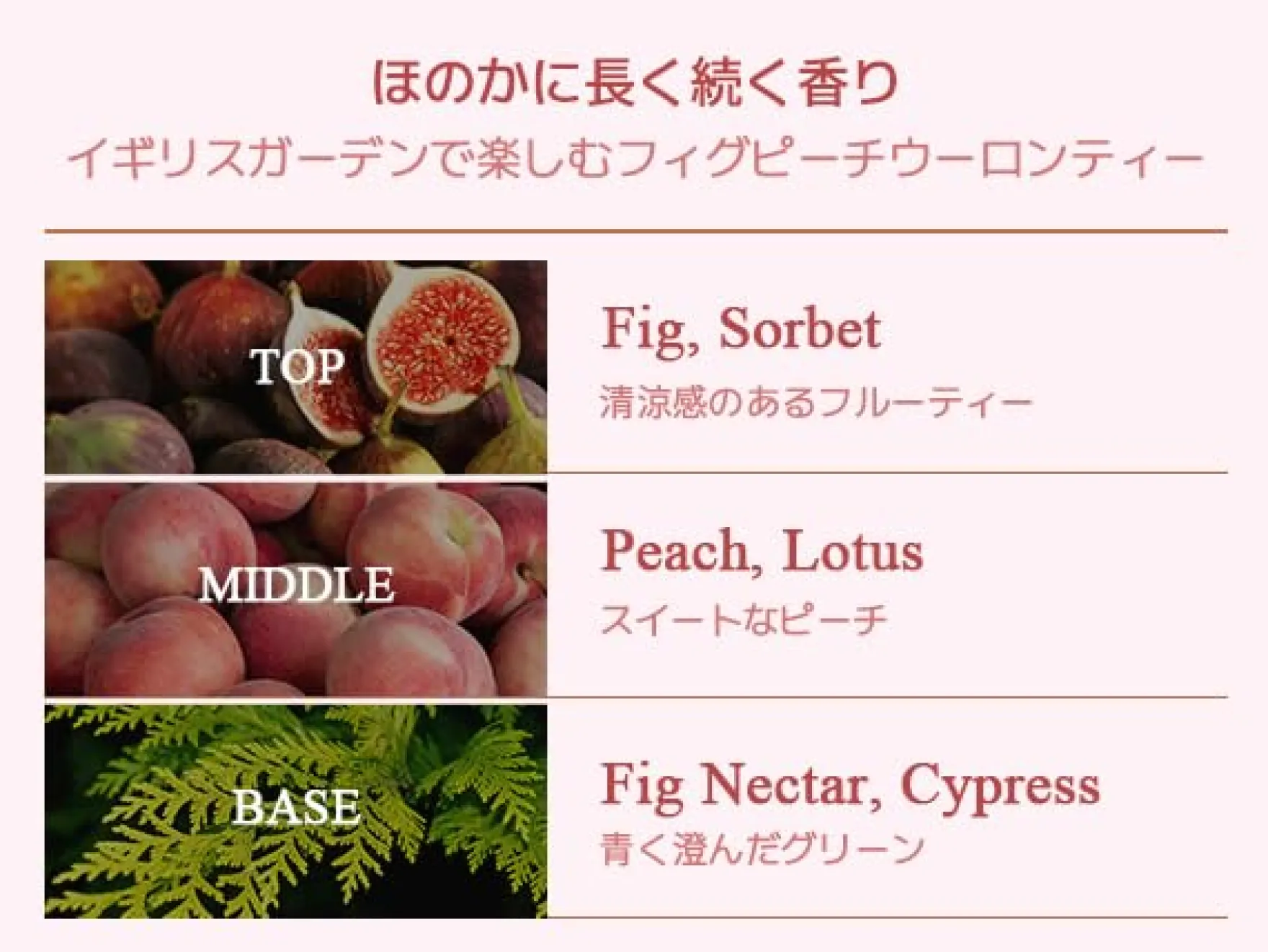 Perfume Body Wash Fig Peach Oolong Tea