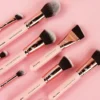 Pink & Rose Gold 10 pc. Sculpt & Contour Set