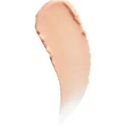 Pore Filler Primer
