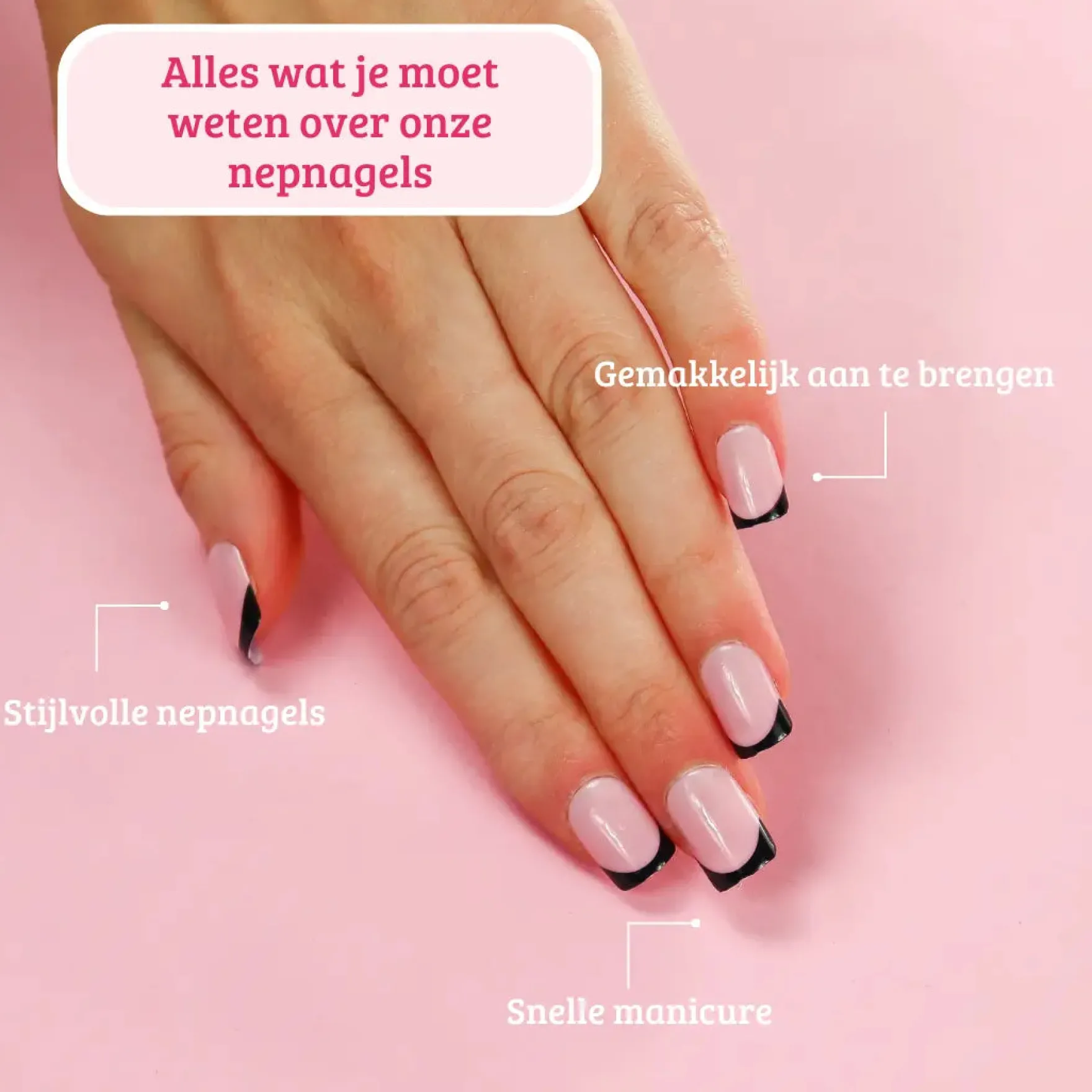 Press On French Nails Black / Pink