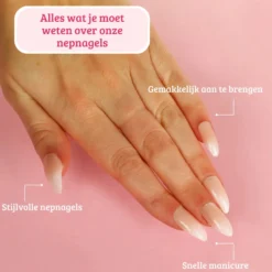 Press On French Nails Ombre Nude
