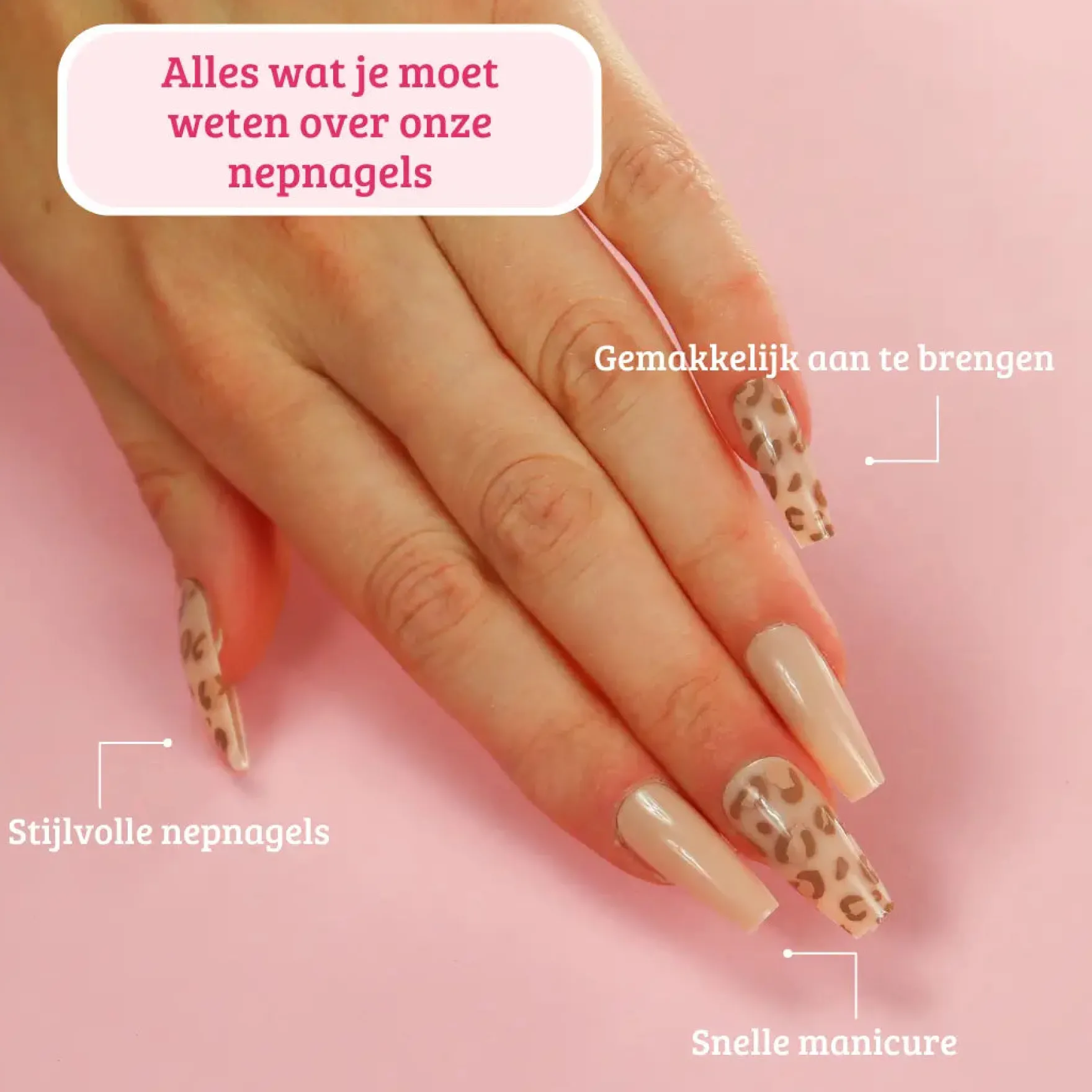 Press On French Nails Panther