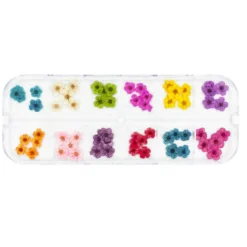 Pressed Dry Natural Petal Flower Set