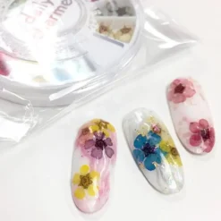 Pressed Dry Natural Petal Flower Set