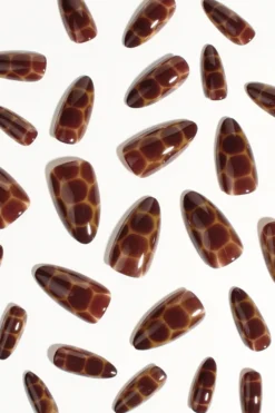 Press-On Nails Cocoa Nouveau