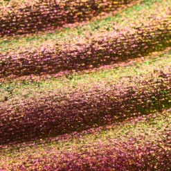 Prismatic Shift Eyeshadow 020 Berry Blaze