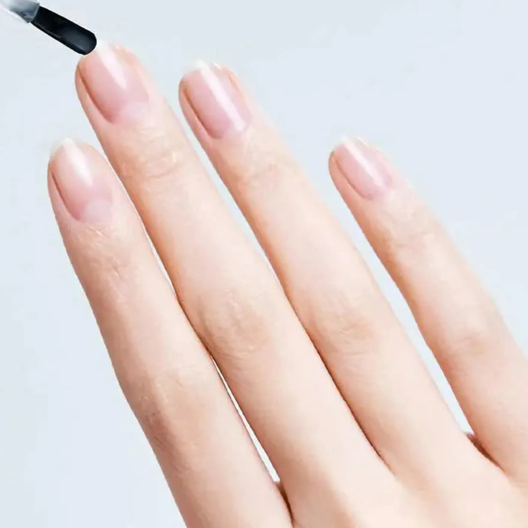 Pro Nail Primer Plus 10 ml.