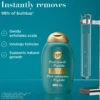ProGrowth & Peptide Shampoo