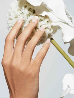 Reusable Pop-On Manicure French 75 Round