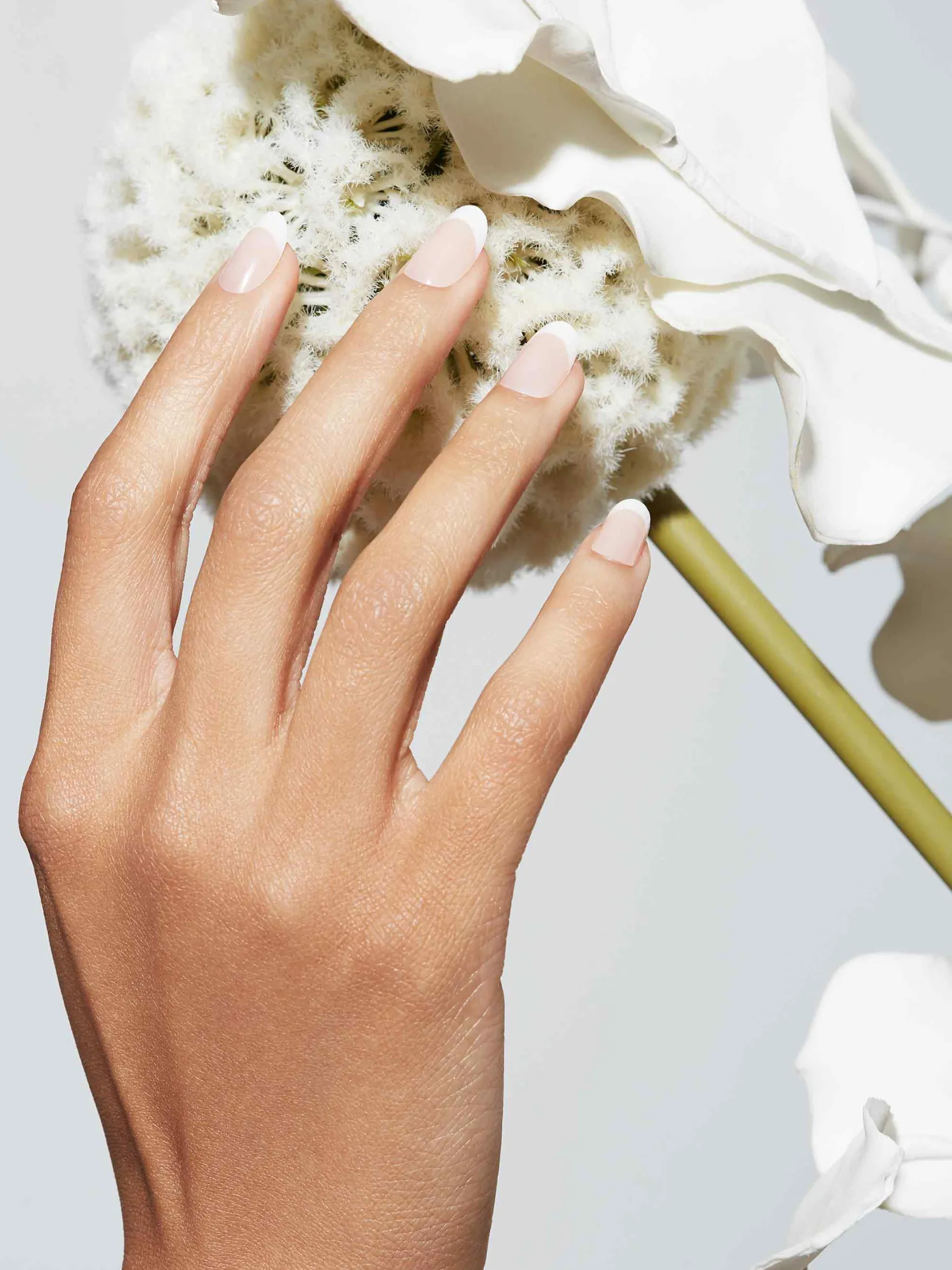 Reusable Pop-On Manicure French 75 Round