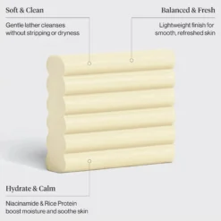 Rice Water Protein Face & Body Wash Bar