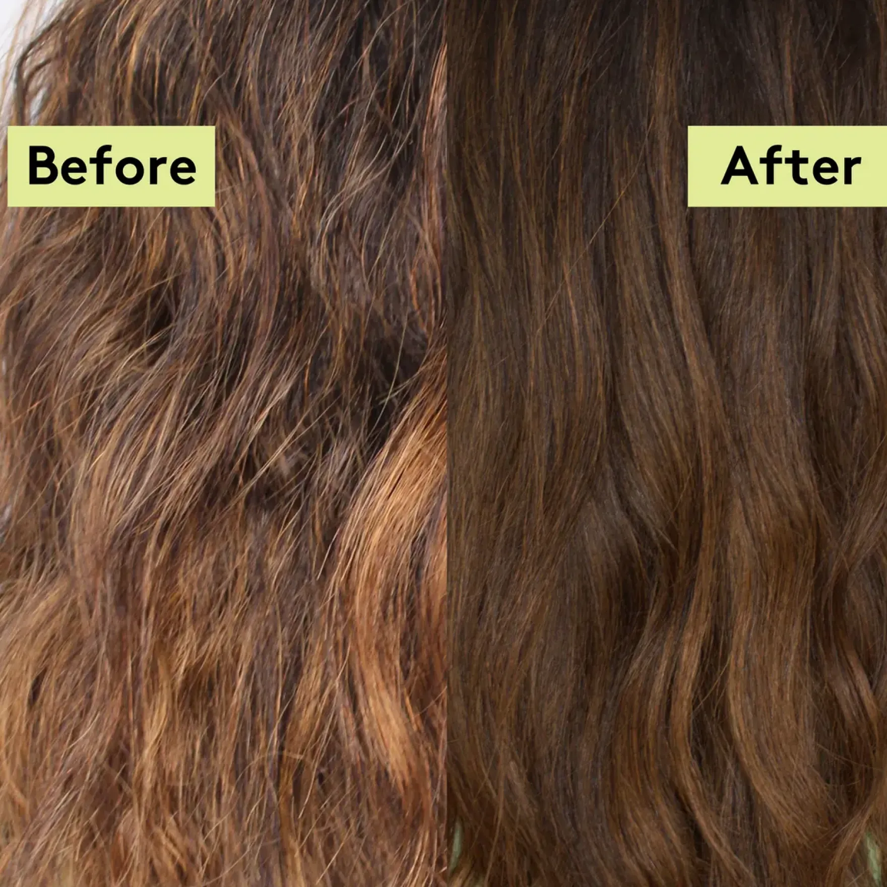 Rich Roots Strengthen & Moisturise Shampoo Amla & Rosemary