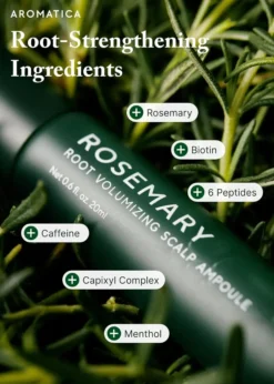 Rosemary Root Volumizing Scalp Ampoule