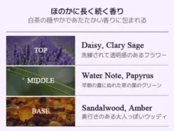 Sage Amber Purple Tea Perfume Body Lotion