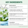 Seoul 1988 Repair Cream Niacica 20% + Mugwort