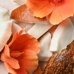 Shea Better Body Lotion Coconut Water Flip Cap