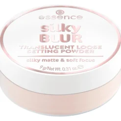 Silky Blur Translucent Loose Setting Powder 10