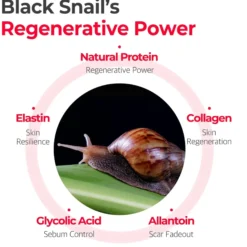 Snail Truecica Miracle Repair Cream