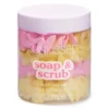 Soap and Scrub Lemon Sherbet