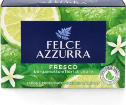 Soap Fresh Scent