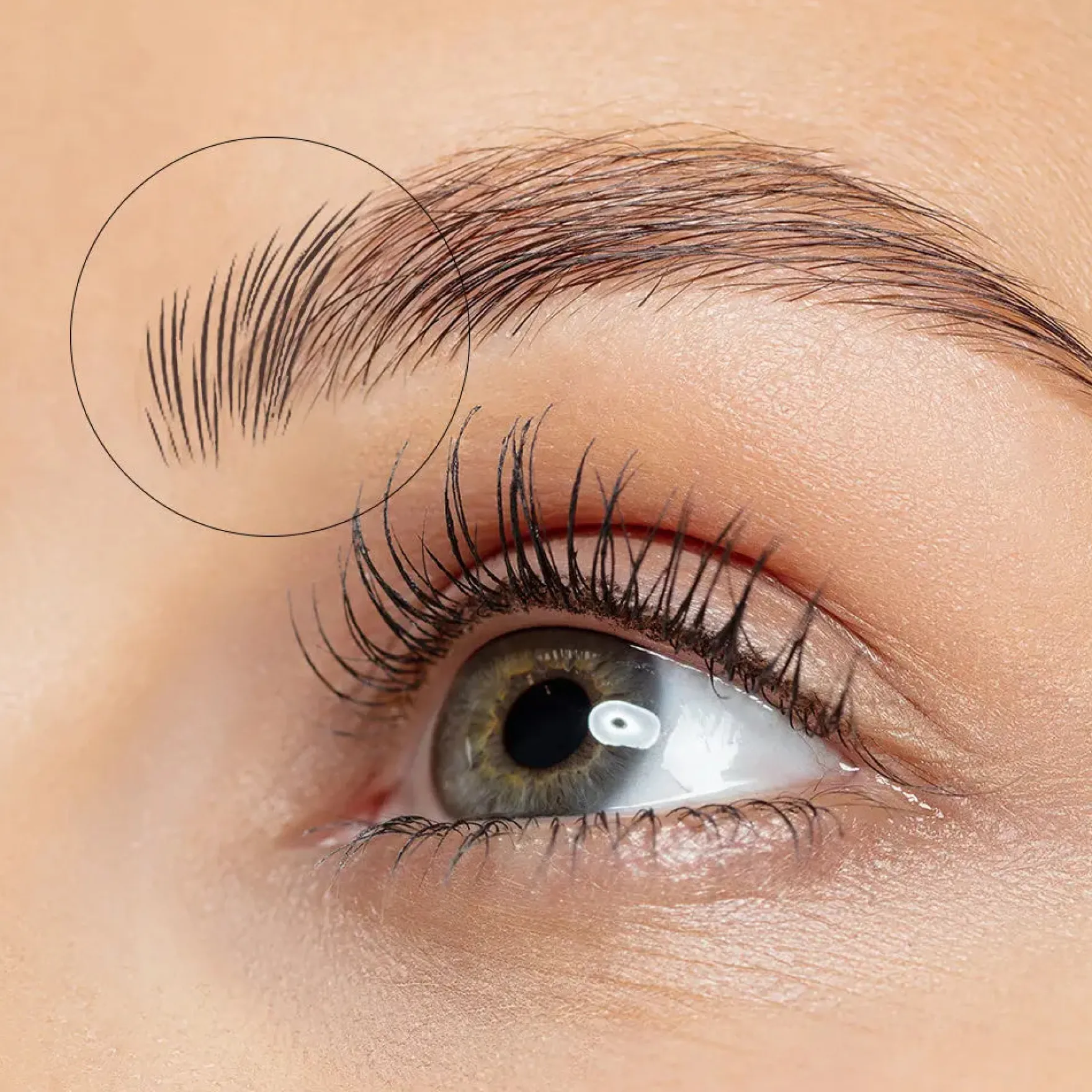 Soft Pink & Gold Square Angled Brow Brush