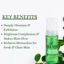 Tea Tree Foaming Face Wash