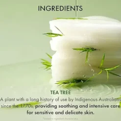 Tea Tree Purifine Toner Pad