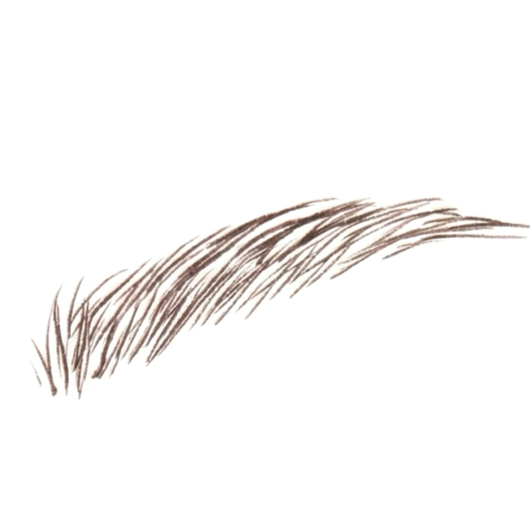 The Brow Detailer