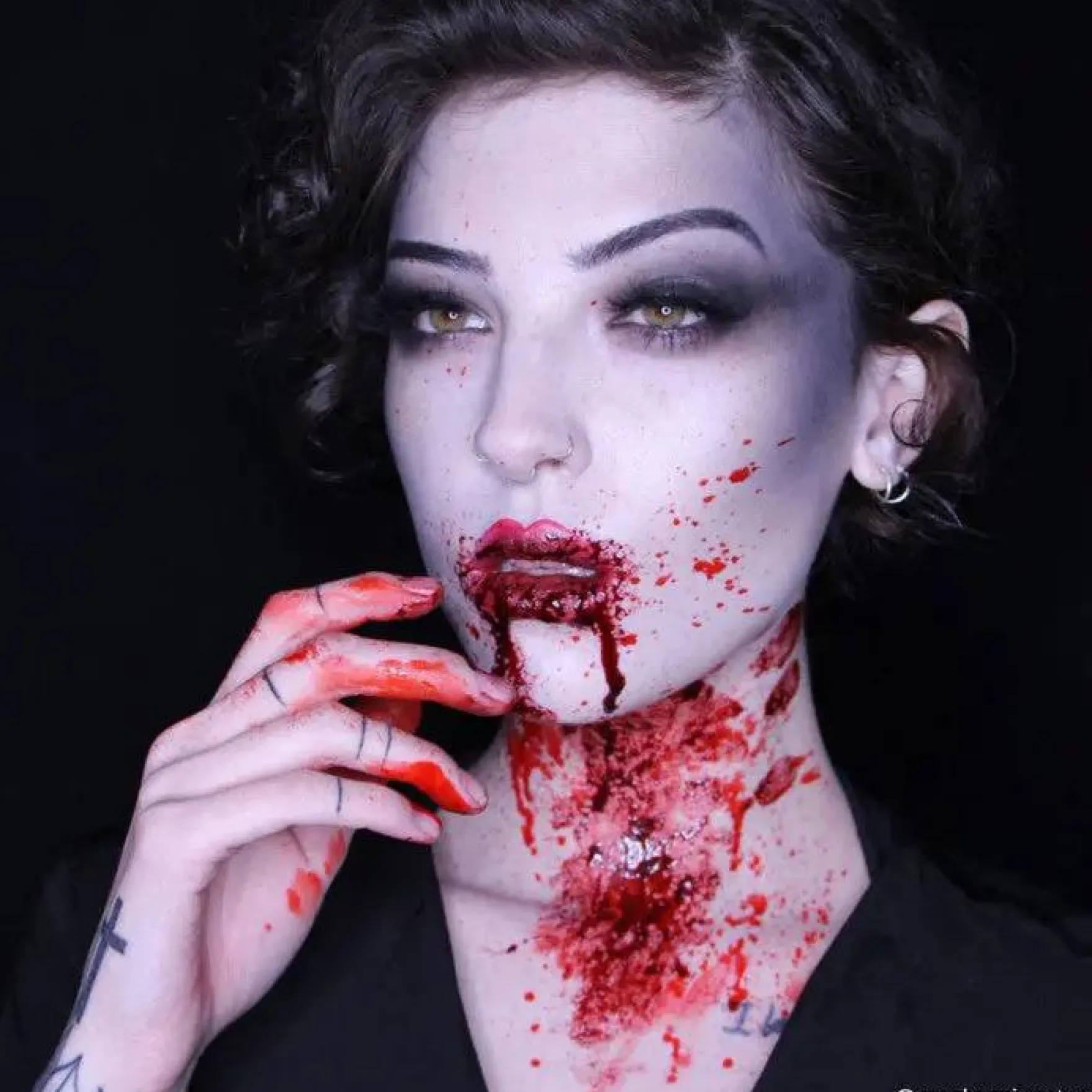 Tri-Color Makeup Palette Vampire