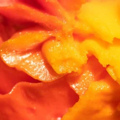 Tropical Shave Butter