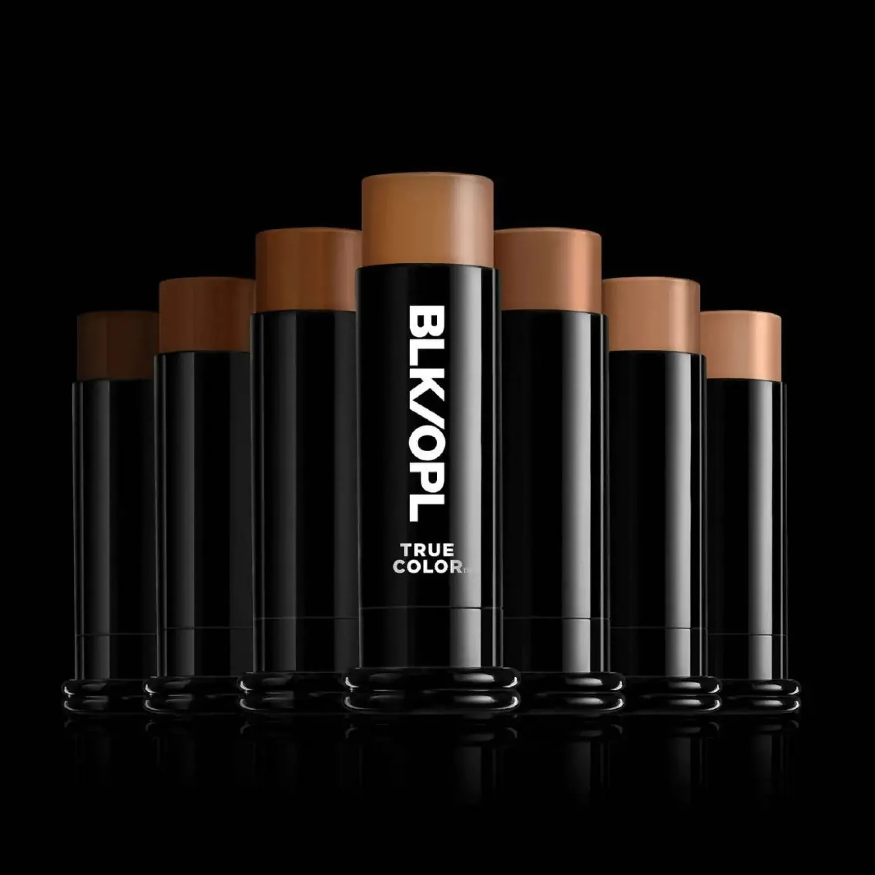 True Color Skin Perfecting Stick Foundation SPF15