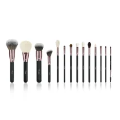 Ultimate Pro 14 pc Starter Full Set