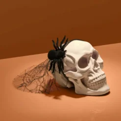 Veil Headband Spiderweb