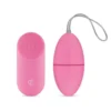 Vibration Egg
