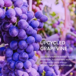 Vinoberry Bakuchi-Oil Firming Ampoule