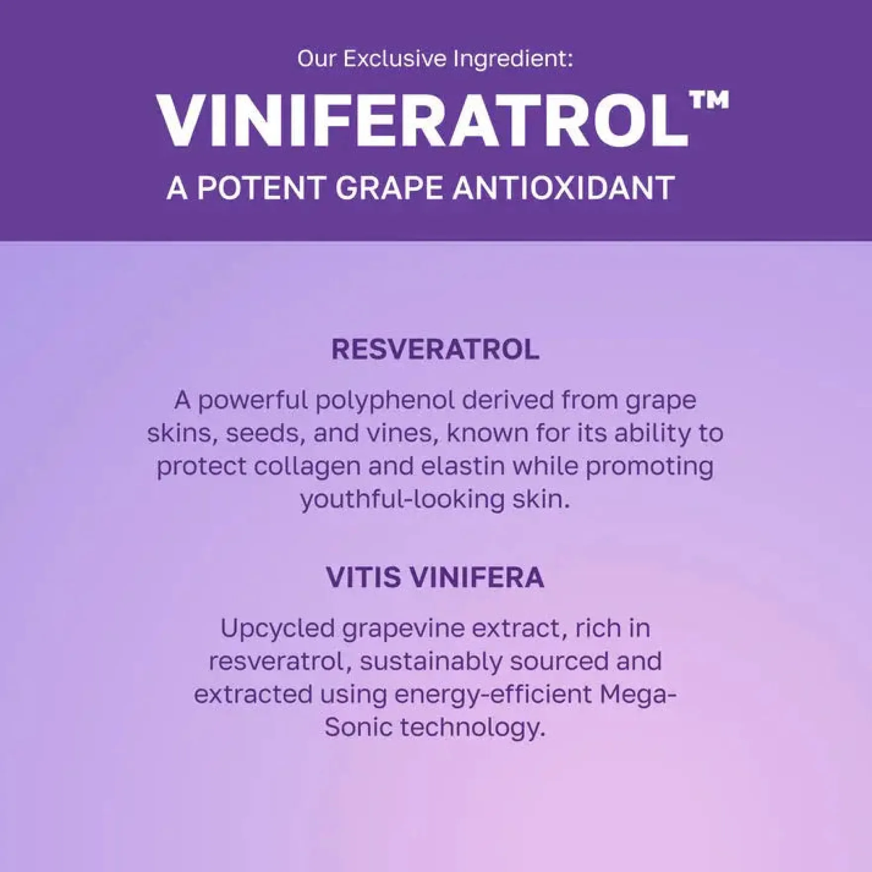 Vinoberry Moisture Firming Cream