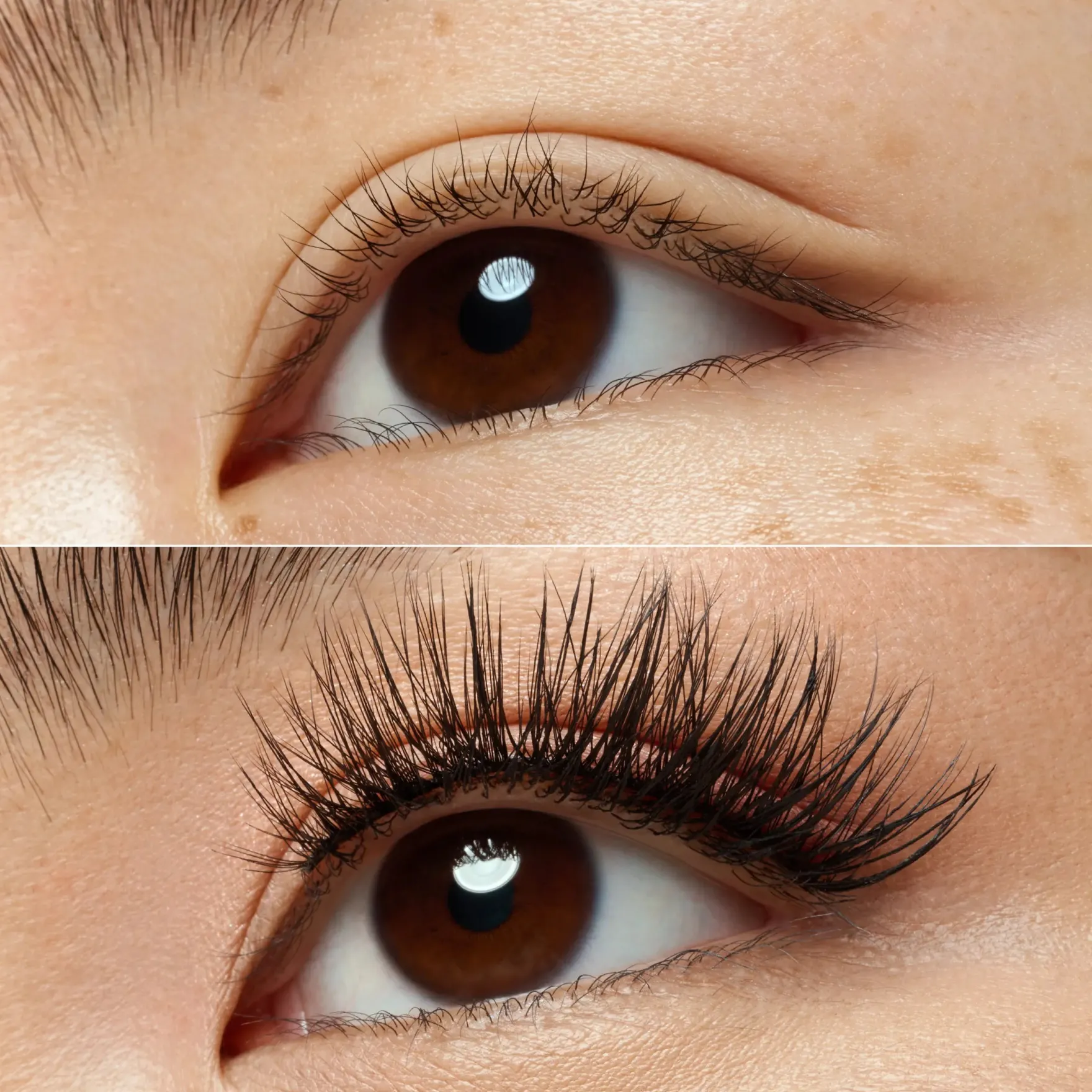 What The Fake! False Lashes 02 Dramatic Curl