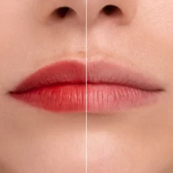 Wipe It Off Lip Tint Eraser C010 Un-Tinted