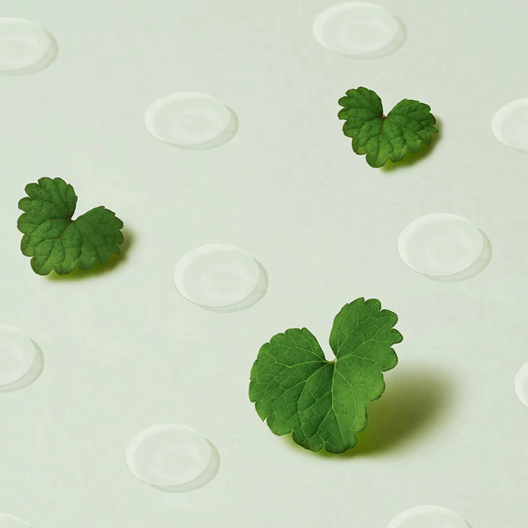 Wonder Releaf Centella Spot Patch